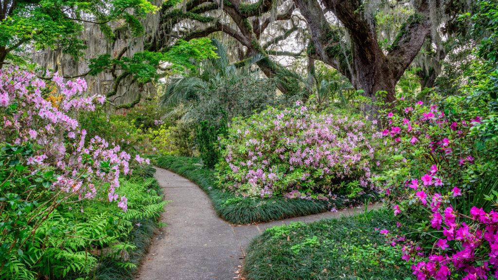 Top Myrtle Beach Attractions