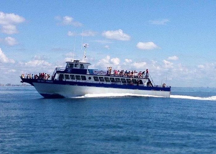 Myrtle Beach Sunset Dolphin Cruise: A Captivating Coastal Experience