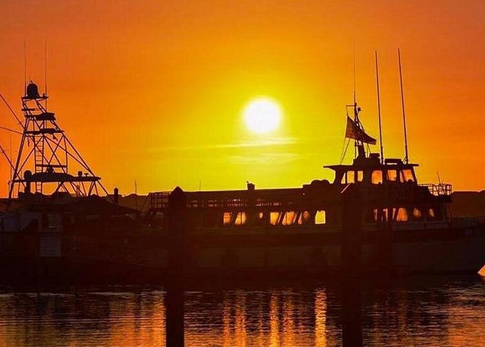 Myrtle Beach Sunset Dolphin Cruise: A Captivating Coastal Experience